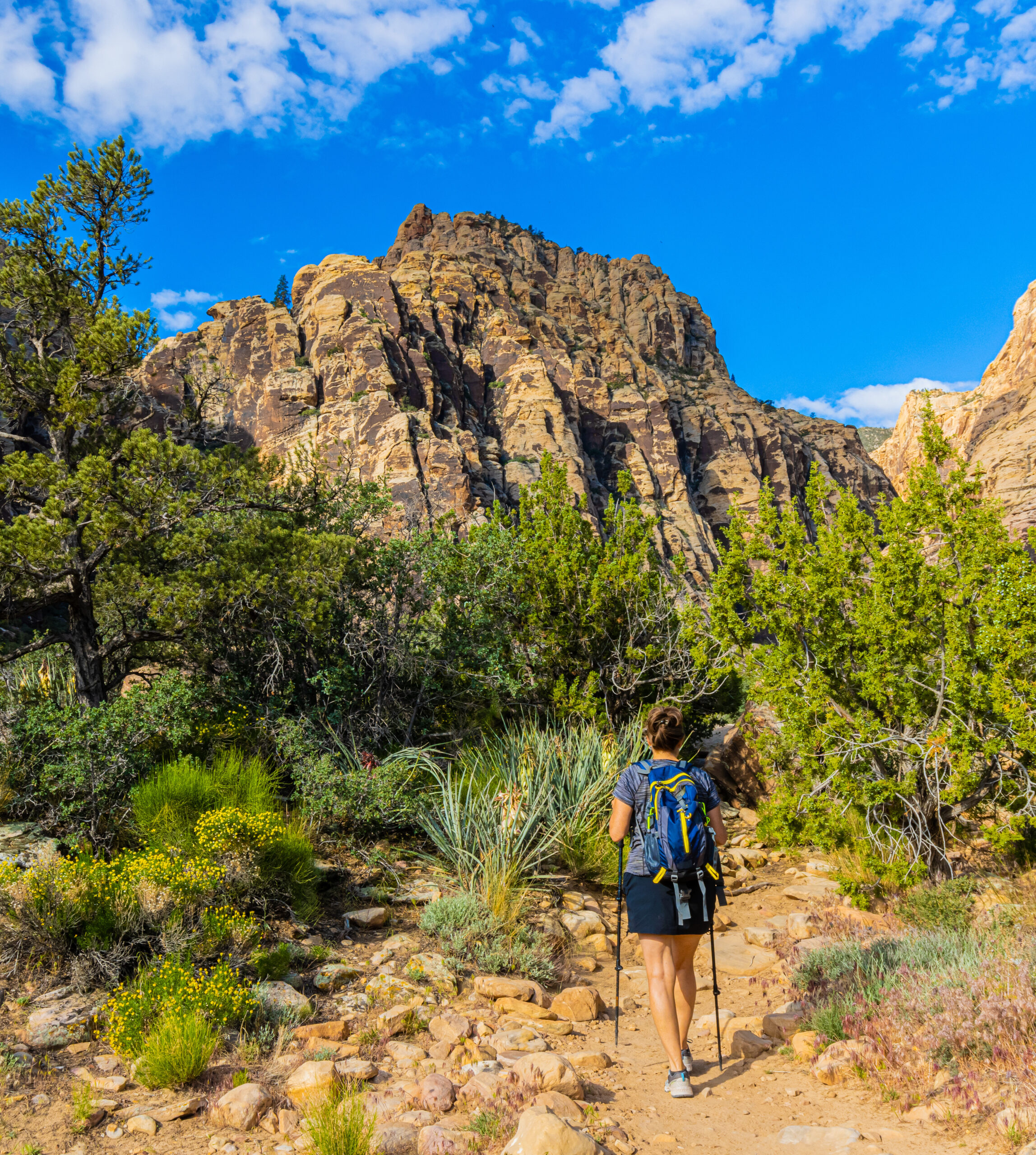 Ice Box Canyon Trail, Las Vegas, Female Hiker, Hiker
