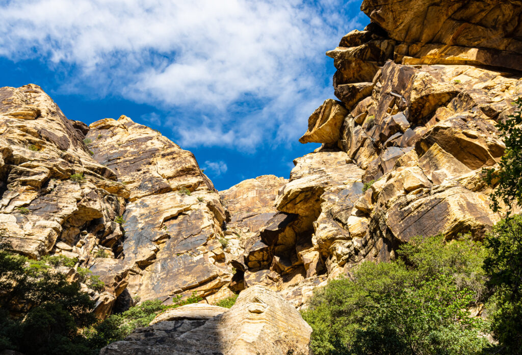 Ice Box Canyon Trail, Hike, Trail, Las Vegas