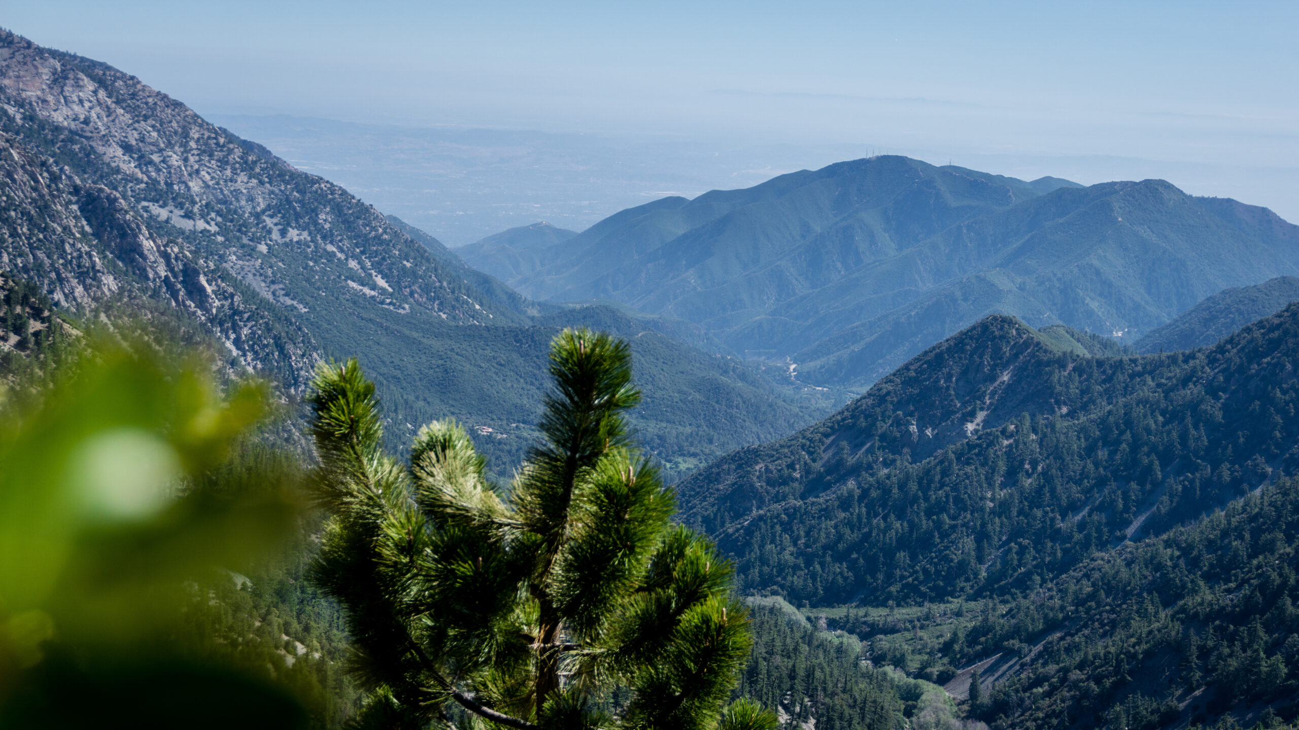 Register Ridge Trail, Hiking Adventures, Hiking
