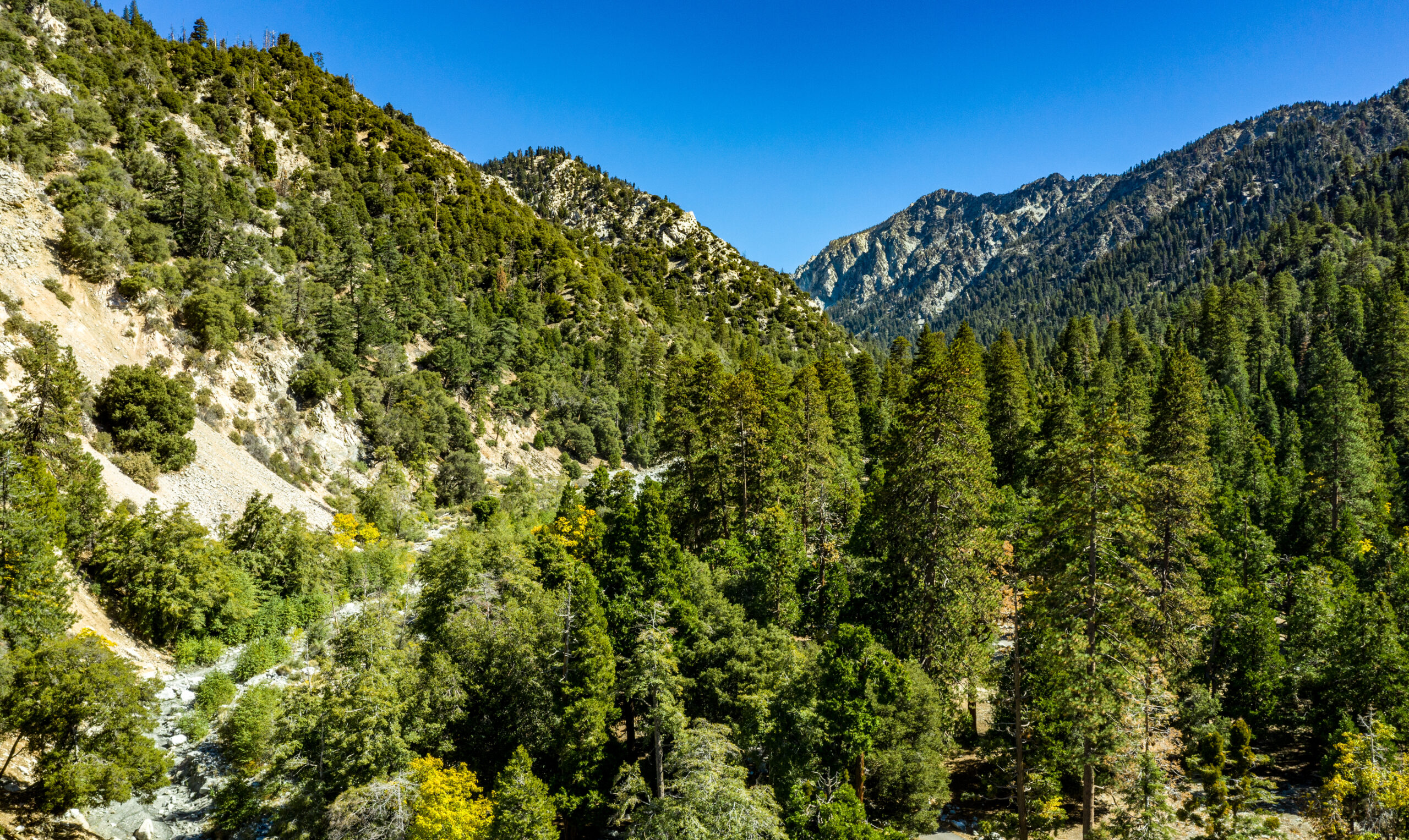 Middle Fork Trail, San Bernardino Forest, Hiking, Hiking Adventures