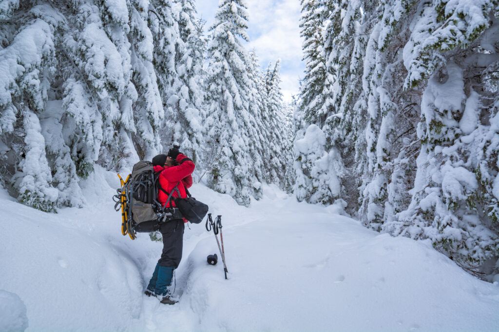 snow depth, winter