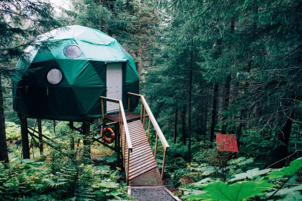 glamping adventure, glamping, nature, comfort, glamping tent, treehouse