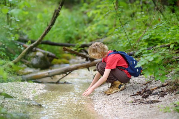 Nature exploration for youngsters, Camping crafts for kids, Family camping adventures, Environmental education for children, Eco-friendly camping activities